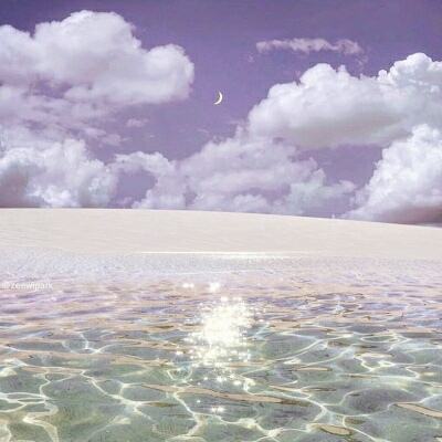 管家婆期期四肖四码中特管家