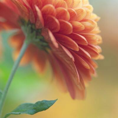 天博体育官网入口下载手机版