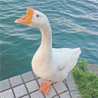 购彩中心welcome官网