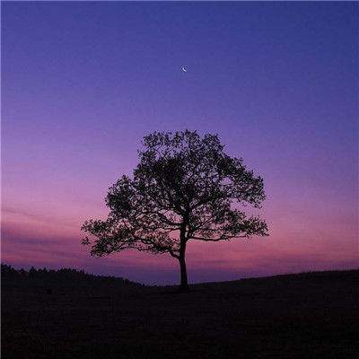 足球游戏手机app下载