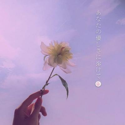 亚洲杯冠亚军竞猜