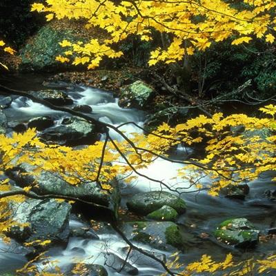 888电玩城游戏厅app下载